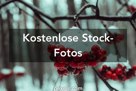 fotos kostenlos|Stock Fotos, Lizenzfreie Bilder & Kostenlose Bilder